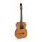 Admira Student Series Paloma Classical Guitar with Oregon Pine Top