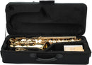 Jean Paul Alto Saxophone AS-400 - Key of Eb with Case