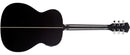 Washburn Deep Forest Folk Acoustic/Electric Guitar - Striped Ebony - DFEFE-U