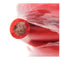 Deejay LED TBH0100REDCOPPER Zero-Gauge 100' Red Pure Copper Stranded Power Cable