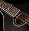 Washburn Americana A-Style Mandolin - Black - M1SDLB