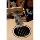 JN Guitars Asyla 4/4 Auditorium Acoustic Guitar - ASY-A