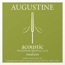 Augustine 12 Pack Acoustic Phosphor Bronze Guitar Strings - HLACOUSTICMEDIUMPK