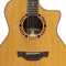 Crafter VL 22 Grand Auditorium Acoustic-Electric Cutaway Guitar - VL G22CE VVS