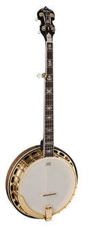 Washburn B17 Americana Series 5 String Banjo - Tobacco Sunburst - B17K-D-U