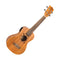 Flight Mahogany Electro-Acoustic Concert Ukulele Designer Series – DUC523 CEQ