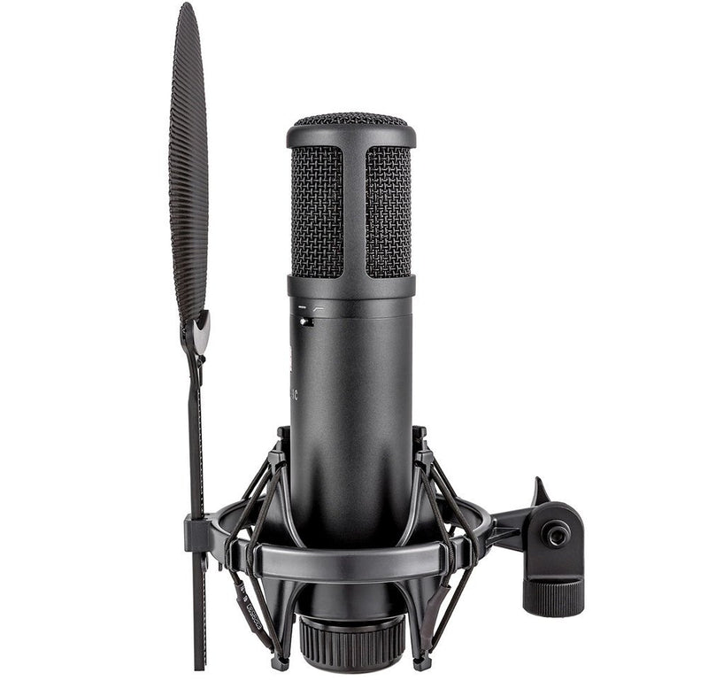 sE Electronics Large Diaphragm Condenser Microphone with Shockmount & Filter