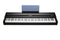 Kurzweil 88-Key Weighted Graded Hammer Action Digital Stage Piano - MPS-120