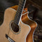 Peavey Delta Woods DW-2 CE Solid Top Cutaway Acoustic-Electric Guitar