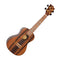 Flight Amara Concert Ukulele Supernatural Series – DUC460