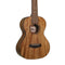 Islander Traditional Tenor Ukulele with Mango Wood Top - MOT-4