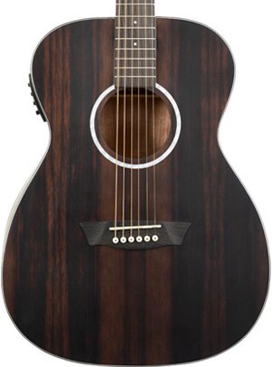 Washburn Deep Forest Folk Acoustic/Electric Guitar - Striped Ebony - DFEFE-U