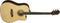 Oscar Schmidt OG2CE Dreadnought Acoustic Guitar Natural - OG2CE