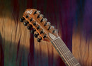 Michael Kelly Forte Port 12 Randy Jackson 12-String Acoustic/Electric Guitar