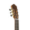 Angel Lopez Mazuelo Classical Acoustic Guitar - Cedar - MAZUELO CR