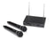 Samson Stage 200 Dual-Channel Handheld VHF Wireless System - Group D / Channel D
