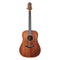 Crafter Silver Series 100 Dreadnought Acoustic Guitar - Brown - HD100-BR