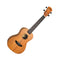 Flight Mahogany Concert Ukulele Designer Series – DUC373