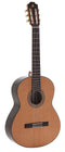 Admira A6 Fishman Acoustic-Electric Classical Guitar - A6-FISHMAN BLEN