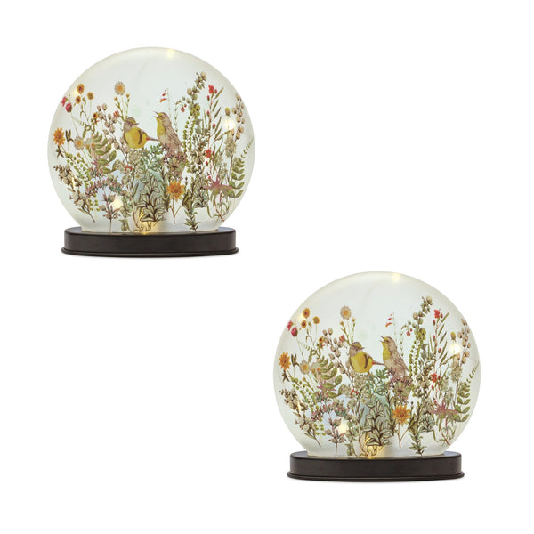 LED Frosted Glass Bird and Floral Globe (Set of 2)