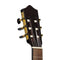 Stagg Classical 4/4 Cutaway Acoustic Guitar - Natural - SCL60-NAT