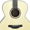 Crafter Silver 100 Jumbo Acoustic Guitar - Spruce - HJ100-N