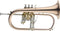 Stagg Bb Flugelhorn Goldbrass Instrument with Soft Case - LV-FH6205