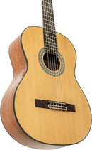 Peavey Delta Woods CNS-1 Classical Nylon String Guitar