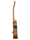 Islander Electric Acoustic Traditional Concert Ukulele w/ Acacia Top - AC-4 EQ