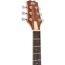 Peavey Delta Woods DW-2 Solid Top Dreadnought Acoustic Guitar