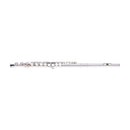 Stagg C Flute Closed Holes Silver Plated - WS-FL111