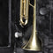 Stagg Sturdy Trumpet Soft Case - Black - SC-TP-BK