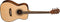 Washburn Acoustic Folk Guitar with Case - Natural - AF5K-A-U