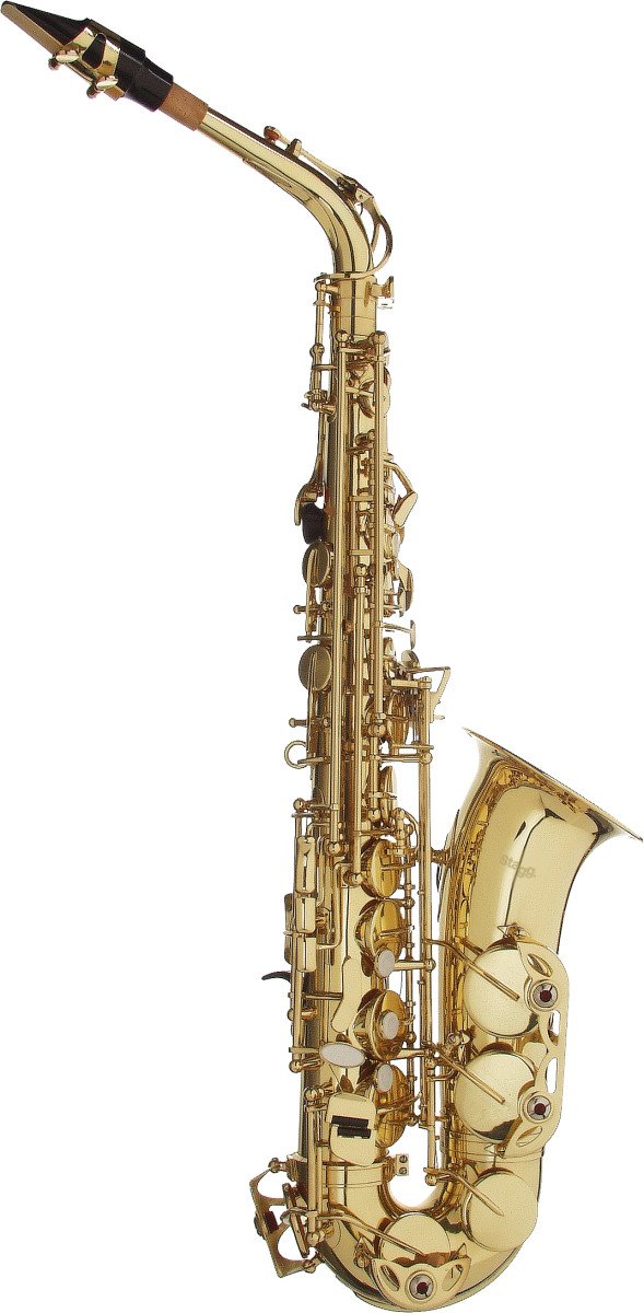 Stagg Eb Alto Saxophone in ABS Case - WS-AS215