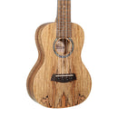 Islander Traditional Concert Ukulele with Spalted Maple Top - MAC-4