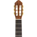 Peavey Delta Woods CNS 3/4 Size Classical Nylon String Acoustic Guitar