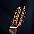 Crafter Mino Shape Acoustic Electric Guitar w/ Gig Bag - Macassar - MINO MACASS