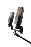 Warm Audio WA-14 Large-diaphragm Condenser Microphone Stereo Pair