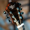 Michael Kelly Forte Port Jr Acoustic Electric Guitar - Ziricote - MKJRSZIFXX
