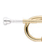 Stagg Bb Trumpet Brass Body - WS-TR115