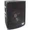 Pyle Pro PADH1079 500-Watt, 10" 2-Way Professional Speaker Cabinet