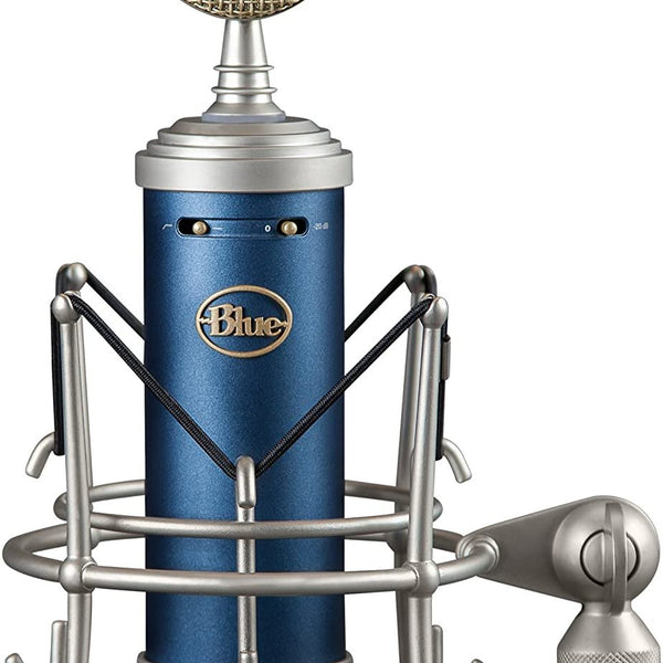 Blue Microphones Bluebird Cardioid Condenser Microphone