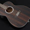 Washburn Deep Forest Folk Acoustic/Electric Guitar - Striped Ebony - DFEFE-U