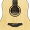 Crafter Silver 100 Dreadnought Acoustic Guitar - Spruce - HD100-N