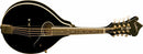 Washburn Americana A-Style Mandolin - Black - M1SDLB