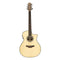 Crafter Able 600 Grand Auditorium Electric Acoustic Guitar - Spruce - ABLE G600C