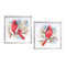 Winter Cardinal and Pine Branch Framed Print (Set of 2)