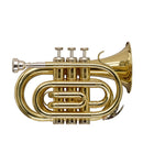 Stagg Bb Brass Pocket Trumpet w/ Gig Bag - WS-TR245S
