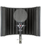 sE Electronics X1 S Microphone & RF X Portable Vocal Booth Studio Bundle