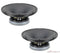 18 Sound 15MB1000 15-in Weather Protected 8 Ohms High Output Speaker - Pair